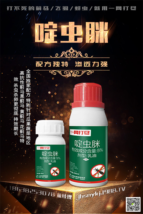 白粉虱對(duì)辣椒有什么危害？辣椒白粉虱怎樣防治好？