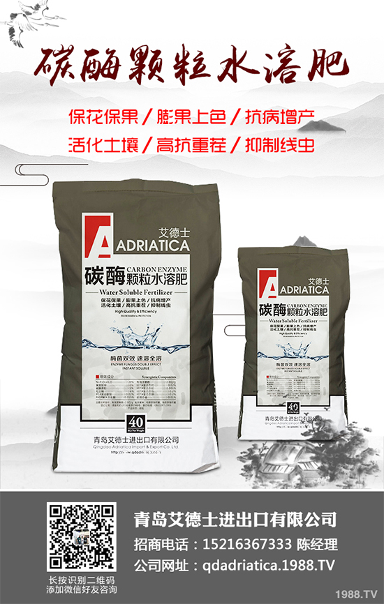 大棚西紅柿該如何種植？春季西紅柿種植管理技術(shù)