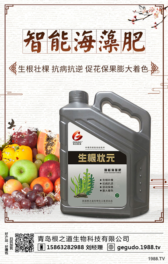 棉花種植怎么管理？棉花各個生長期的管理技術(shù)要點！