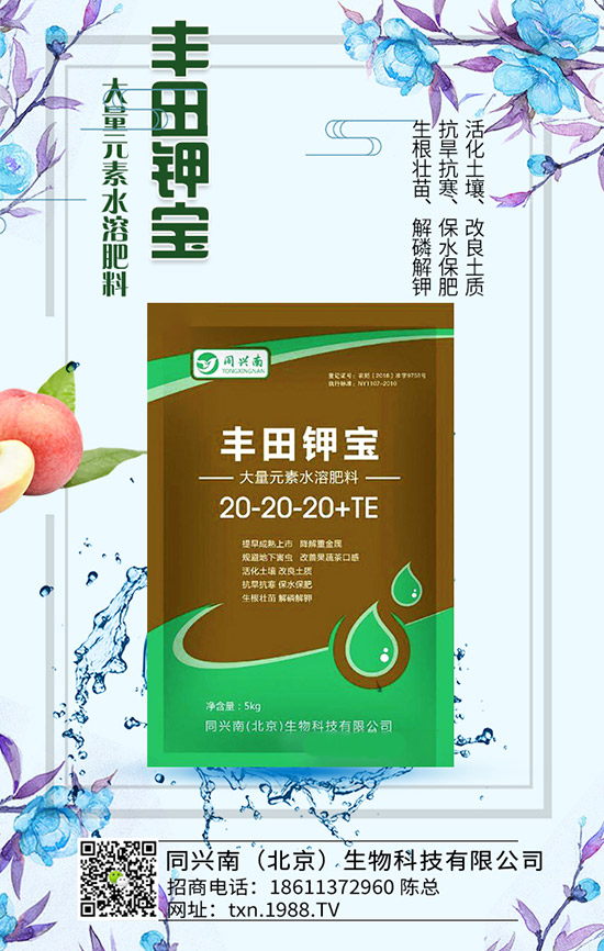 豌豆什么時(shí)候種，豌豆種植時(shí)間及種植要點(diǎn)！