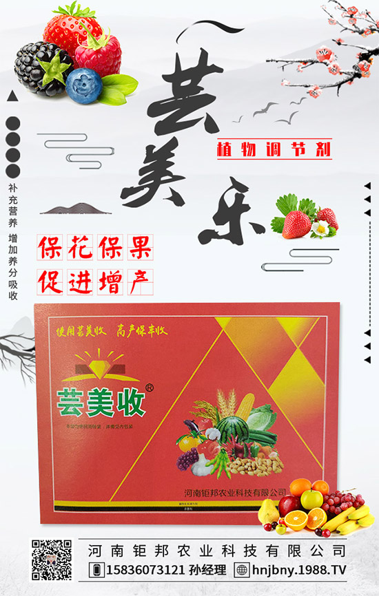 �����׽�����ʲôΣ���������׽����ķ��δ�ʩ��