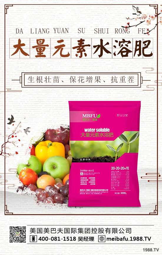 向日葵對種植條件有哪些？花菜的種植管理要點！