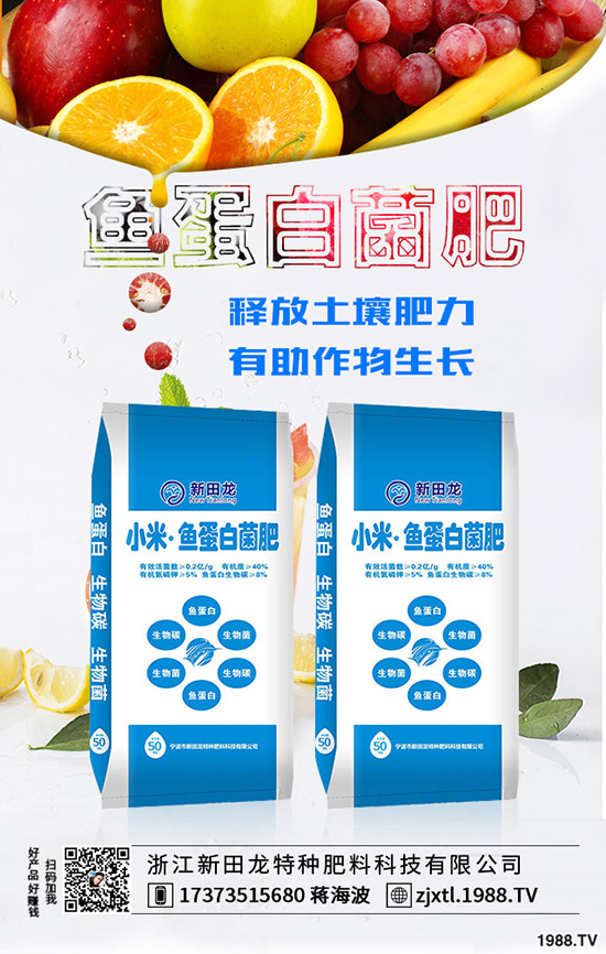 番茄猝倒病癥狀、發(fā)生規(guī)律,番茄猝倒病要如何防治?