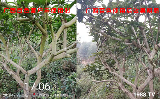 廣西百色客戶未使用時(shí)和使用后效果明顯！