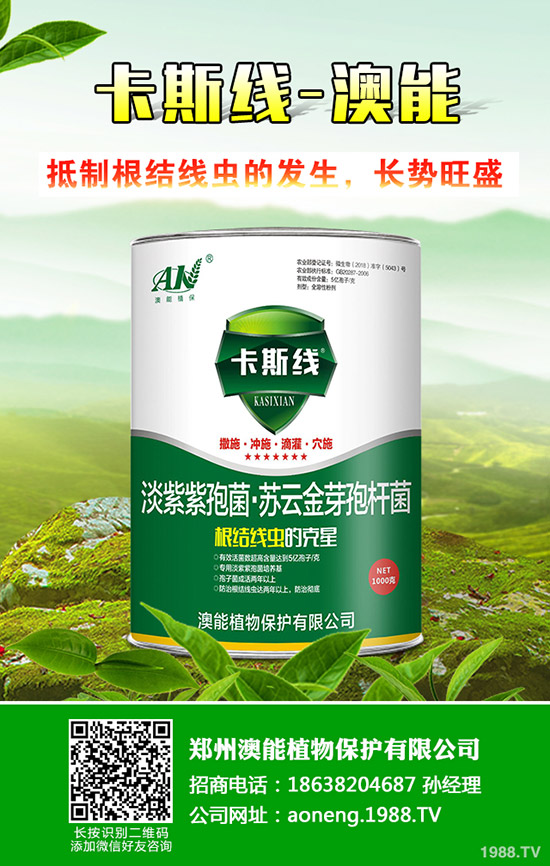 南瓜種植時間是什么時候？南瓜的種植技巧！