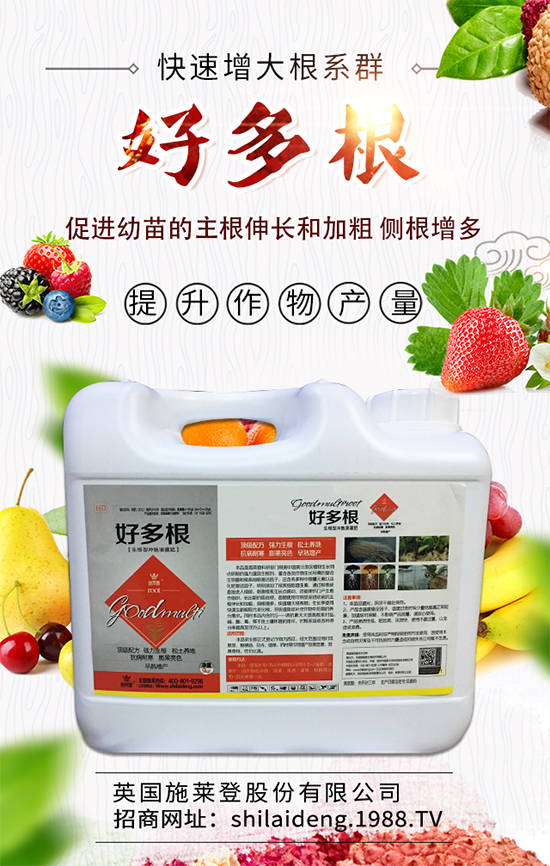 春季菠菜在什么時(shí)候種植好？菠菜種植技術(shù)要點(diǎn)有哪些？	