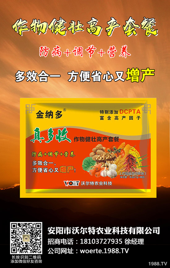 番茄怎么種出苗好,番茄種植時(shí)間及栽培技術(shù)!