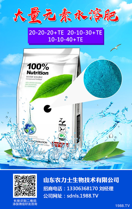     2020-4-1�����M(j��n)�������p�������@�����Ƿ��ܓp������һ�@���@�r(ji��)��