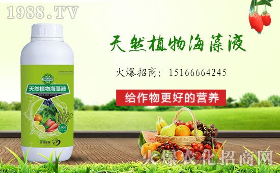 火爆農(nóng)化網(wǎng)喜迎新盟友,攜手青島菲爾普斯共走財(cái)富之路!