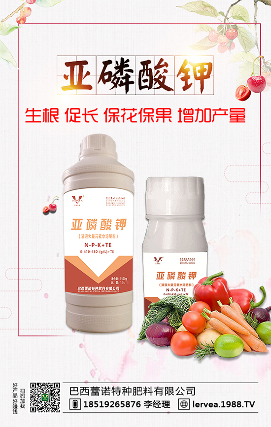 作物缺鉀有什么危害？鉀肥有什么作用？鉀肥種類選擇！