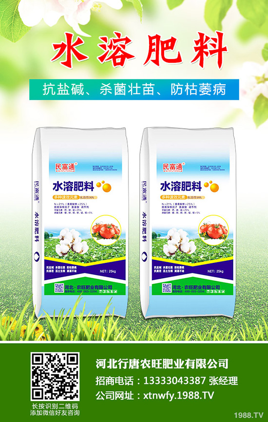 香菜如何種植香味濃產(chǎn)量高？韓國大棵香菜栽培技術(shù)！