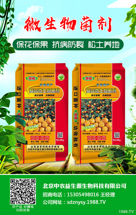     小麥中后期主要病害有哪些？如何防治！防治技術(shù)指導(dǎo)意見(jiàn)有哪些？