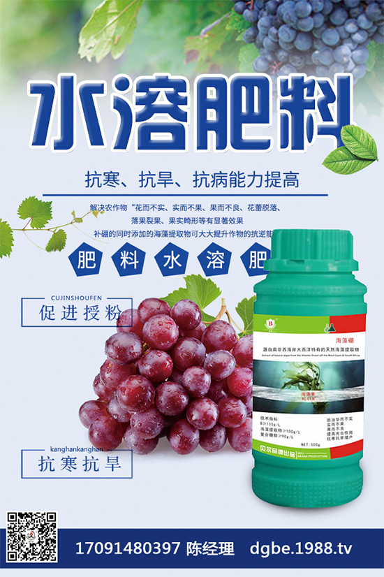 露地西瓜該如何育苗？春季露地西瓜高產(chǎn)栽培技術(shù)