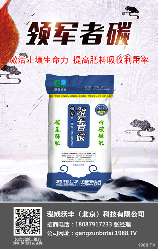 西紅柿徒長(zhǎng)怎么辦？科學(xué)預(yù)防西紅柿徒長(zhǎng)的方法