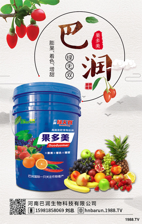     露地番茄該如何定植？定植密度是高產(chǎn)重要措施，快看看老農(nóng)怎么做！