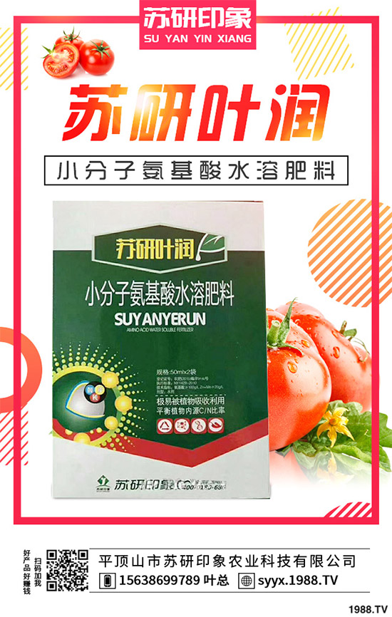 馬鈴薯該如何覆膜種植？馬鈴薯覆膜種植技術(shù)要點(diǎn)及存在的問(wèn)題