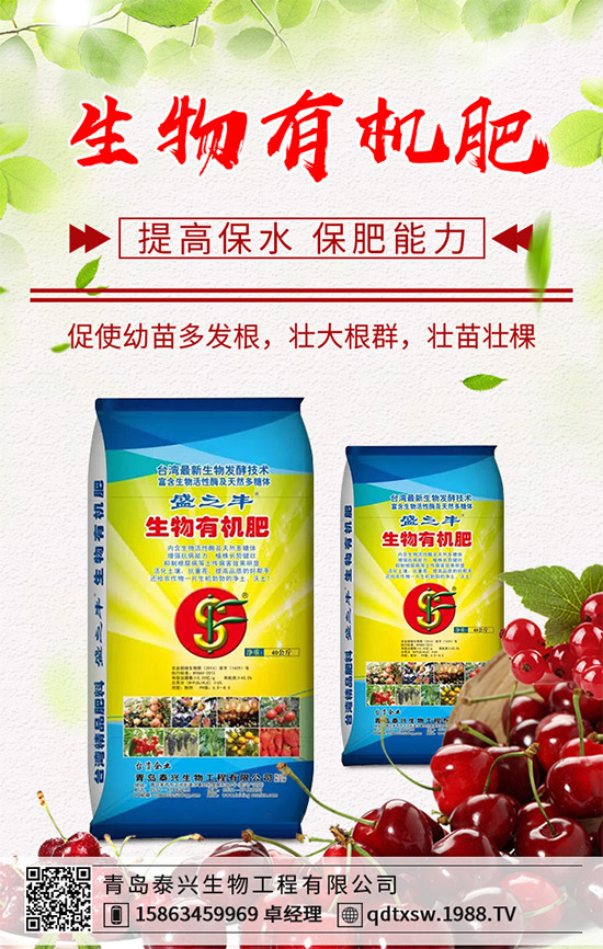 生姜該如何播種育苗?生姜高產(chǎn)栽培技術(shù)要點