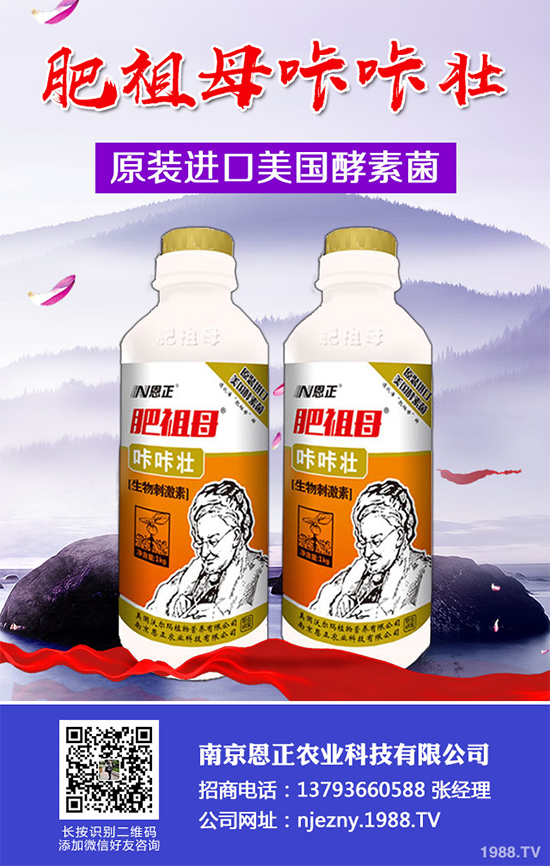 春花生為何不能播種過早或過晚?播種時(shí)間應(yīng)該在4月還是5月?答案來了!