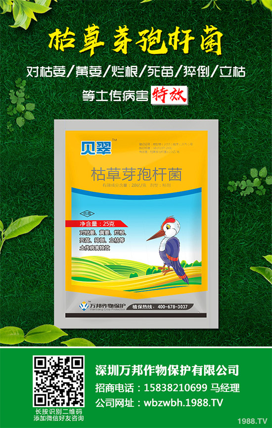 С����ù��ˎ������Ч����������׃����