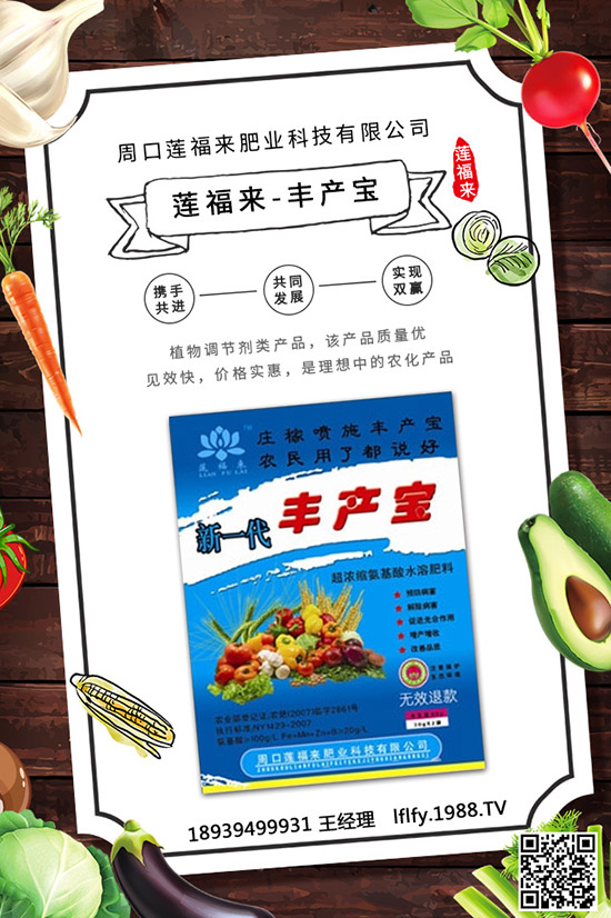 珠子參種子育苗要點，珠子參種植方法及田間管理！