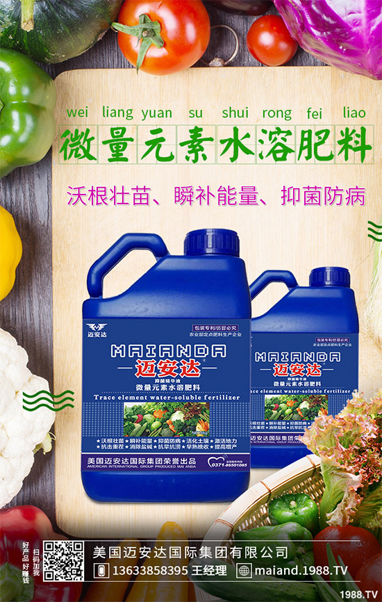 空心菜什么時(shí)間種植?空心菜對(duì)環(huán)境條件有什么要求?