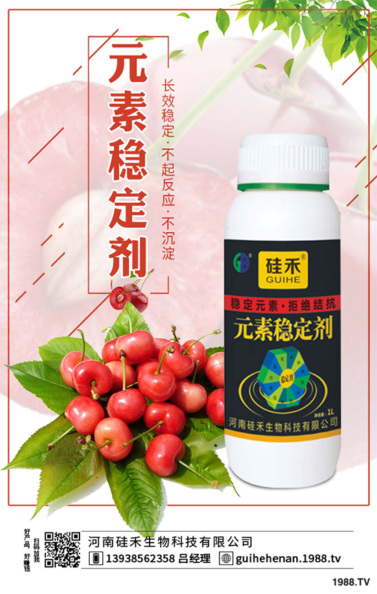 ��ˎԓ��ô�Nֲ����ˎ�Nֲ�İ˴��E��������(hu��)���