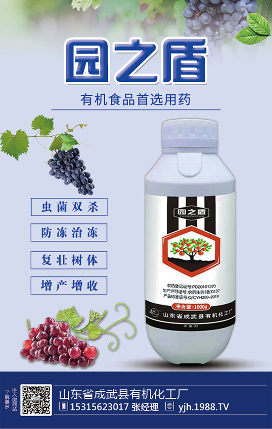 甘蔗需肥特性,甘蔗施肥技術(shù)和要點!