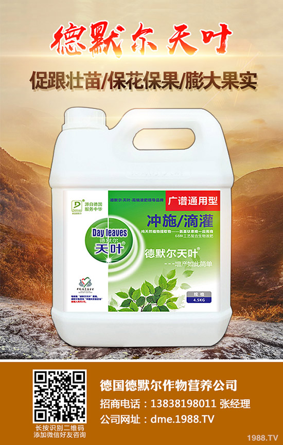 長(zhǎng)壽花怎么施肥,學(xué)會(huì)這幾招,輕輕松松開滿盆!