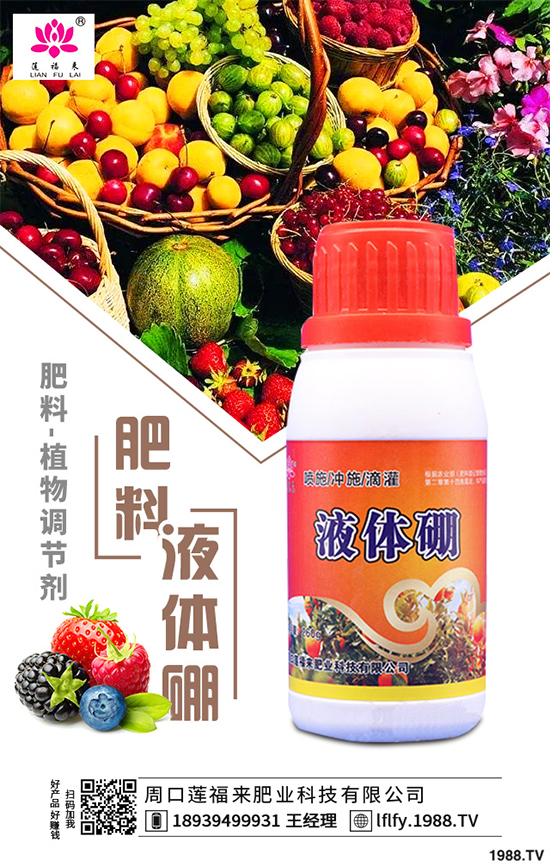 皂莢樹(shù)有哪些用途？該如何栽培？皂莢樹(shù)的栽培管理技術(shù)