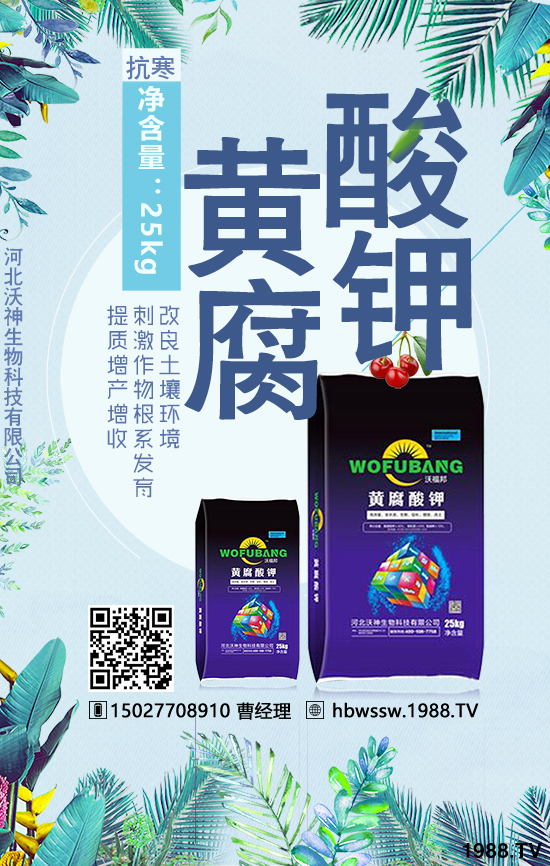 4.5-新聞-2