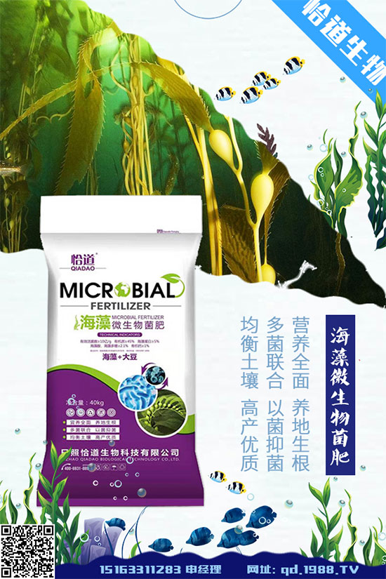 花生什么時間種植？花生高產(chǎn)種植方法！