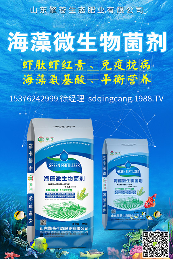     2020-4-8國(guó)內(nèi)二銨需求一般！今日最新磷酸二銨價(jià)格報(bào)價(jià)！