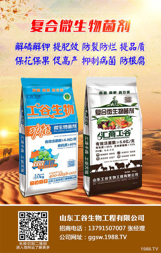 小麥條銹病正在肆虐,農(nóng)戶到底該咋辦?關(guān)鍵還是靠預(yù)防!