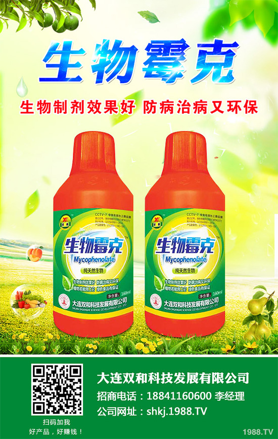 春胡蘿卜什么時(shí)候種植？如何種植才能高產(chǎn)呢？