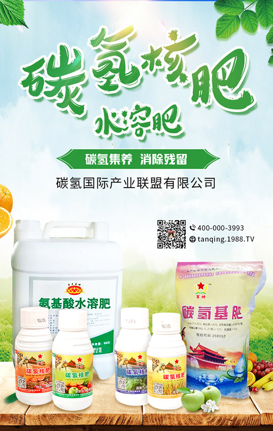     5月可以種什么菜？5月蔬菜種植指南及防注意事項！