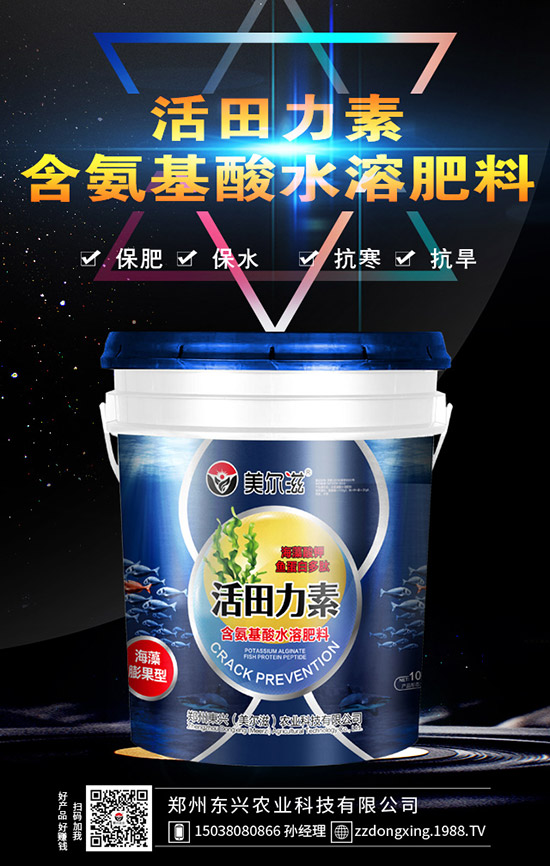 牛大力的種植的前景怎樣,牛大力種植技術及苗期管理!