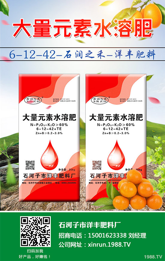 黃瓜嫁接好在哪里？有何優(yōu)勢？黃瓜嫁接的流程及注意事項(xiàng)