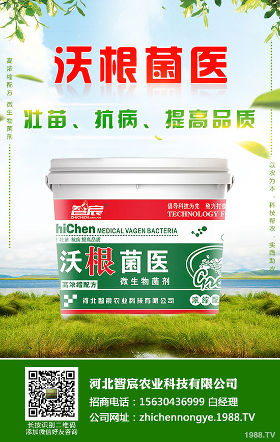 鉀肥價(jià)格整體偏低運(yùn)行!最新鉀肥行情分析2020-5-15!