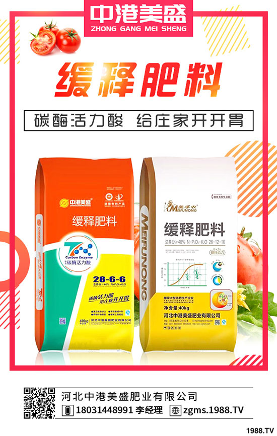 葛根種植多久可以收獲？種植葛根一畝有多少利潤？