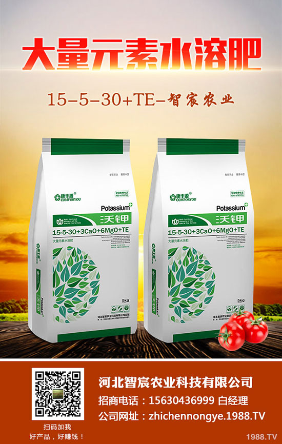 龍須鐵怎么養(yǎng)，龍須鐵的養(yǎng)殖方法和注意事項