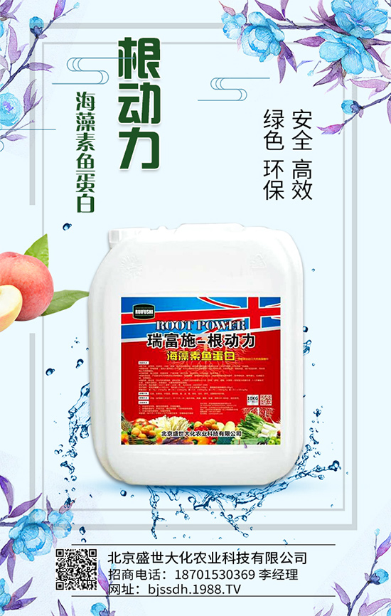 蘆筍有什么營(yíng)養(yǎng)價(jià)值？吃蘆筍有哪些好處？