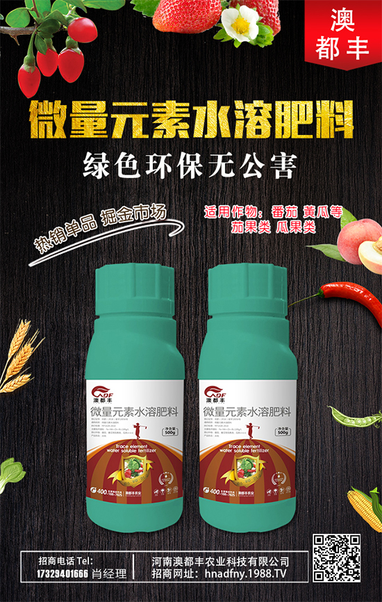 甜瓜什么時間種植好？甜瓜種植技術(shù)要點！