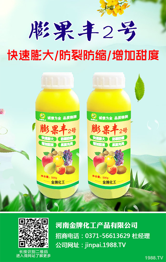     黑櫻桃該如何栽培？怎樣管理？黑櫻桃高產(chǎn)栽培管理技術(shù)