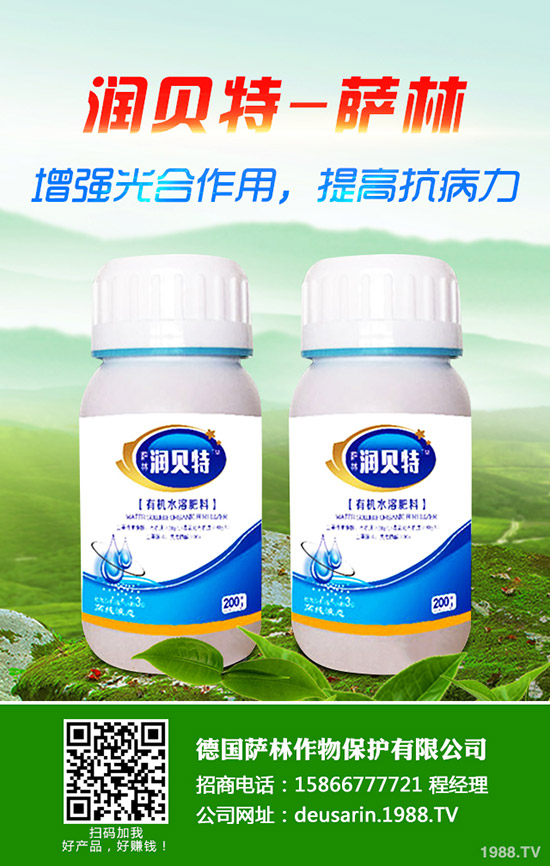 ��ۘ���ô�B(y��ng)����ۘ���B(y��ng)ֳ������ע�����