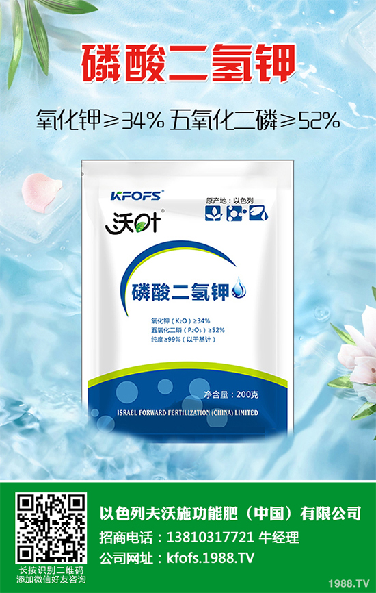 尿素主流出廠報(bào)價