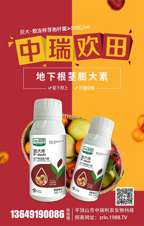 ����������(j��)���������r(n��ng)�ٺ����r(n��ng)�����̾W(w��ng)�������W(w��ng)�j(lu��)����·��