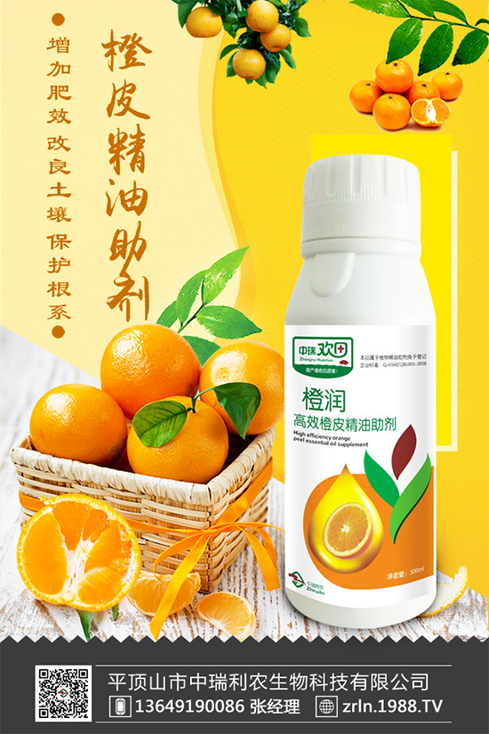 ����������(j��)���������r(n��ng)�ٺ����r(n��ng)�����̾W(w��ng)�������W(w��ng)�j(lu��)����·��