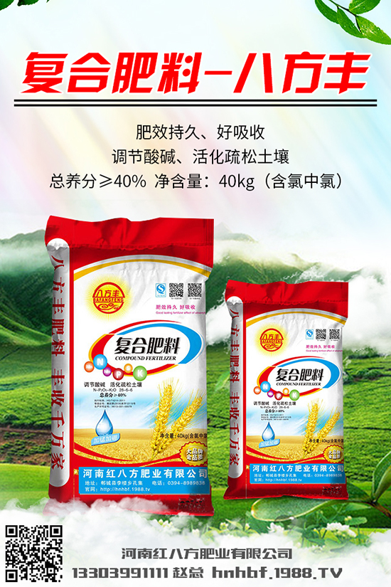 川貝母多少錢一克?川貝母的種植前景及種植技術(shù)!