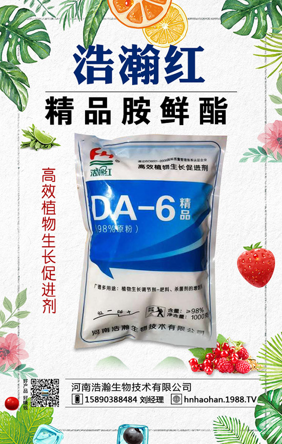 西紅柿摘葉常見(jiàn)誤區(qū)有哪些?西紅柿摘葉技巧!