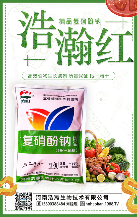 番茄什么時(shí)間種植,番茄種植技術(shù)及管理要點(diǎn)!